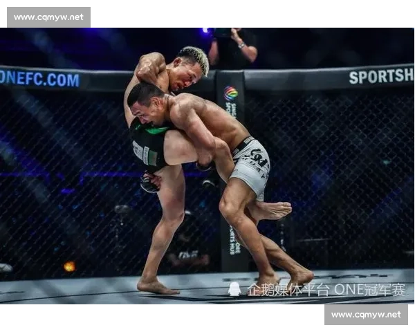 前蝇量级冠军弗朗斯遭重拳 KO,职业生涯遭遇重创