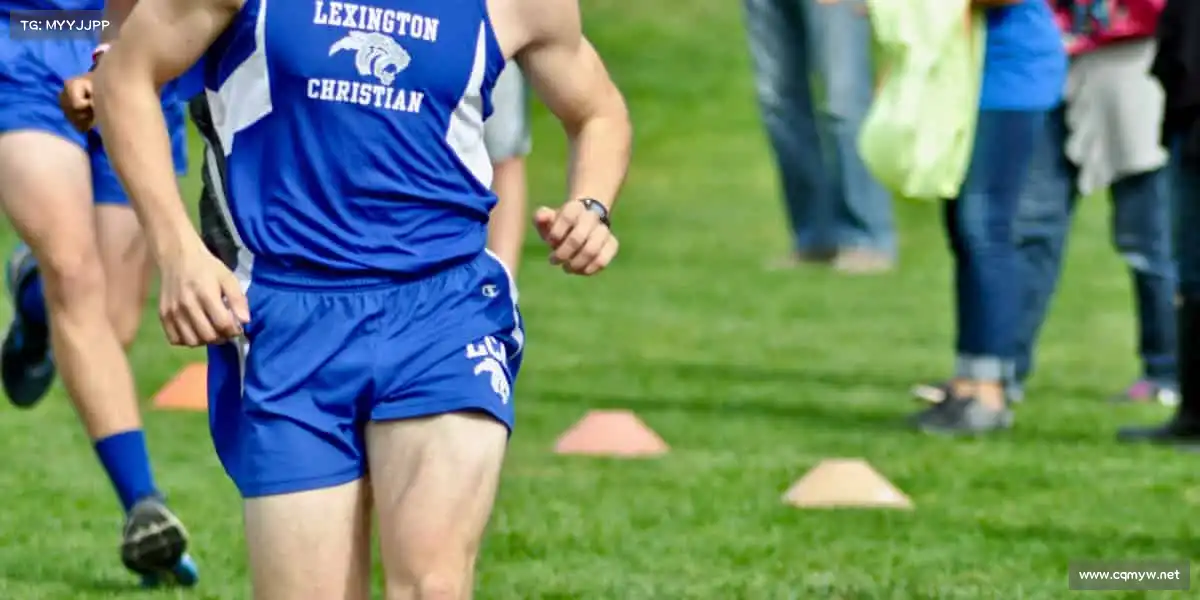 为什么选择我们